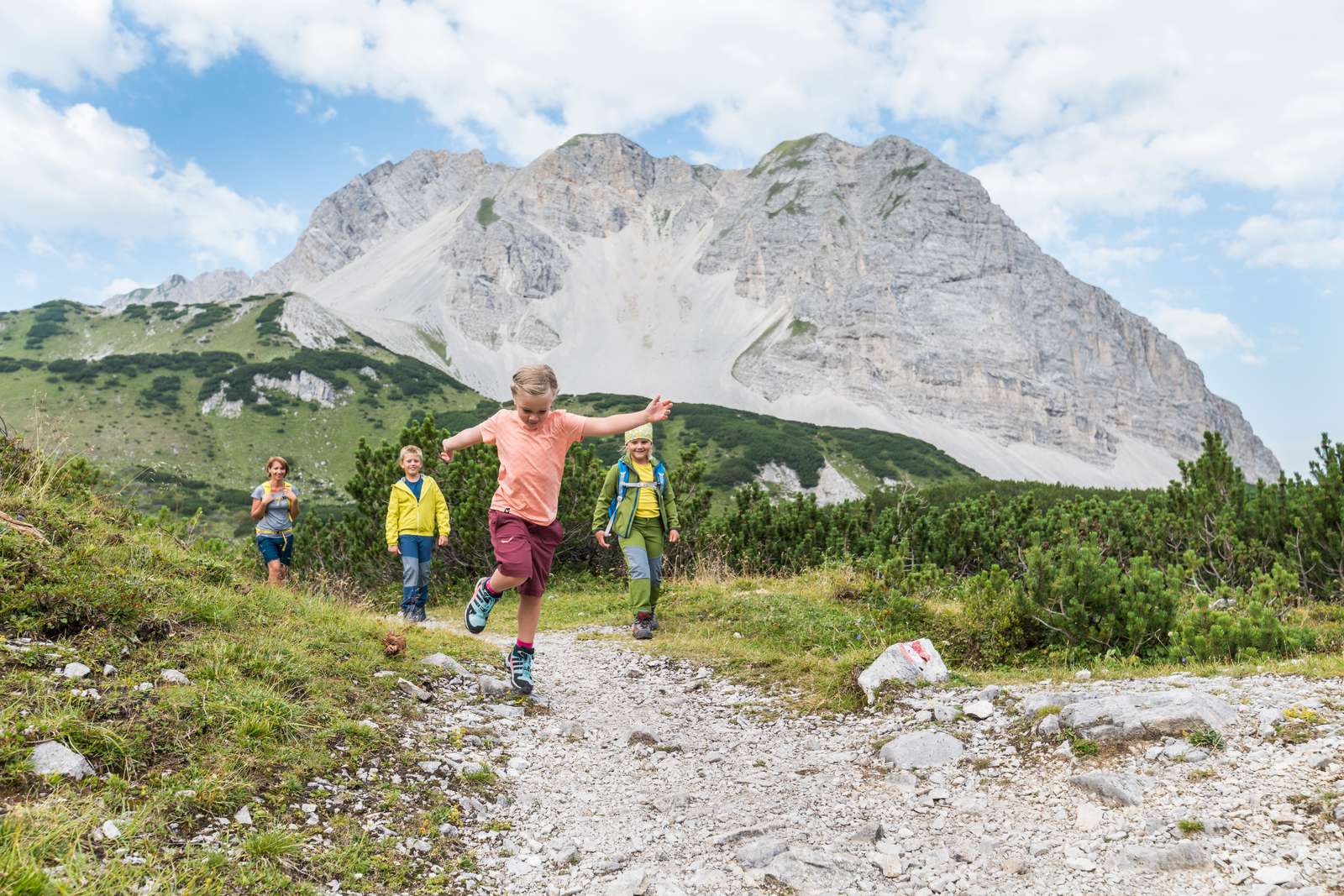Norbert Freudenthaler, DAV